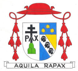 Chiaramonti CORRECTION Chiaramonti Pius VII0001